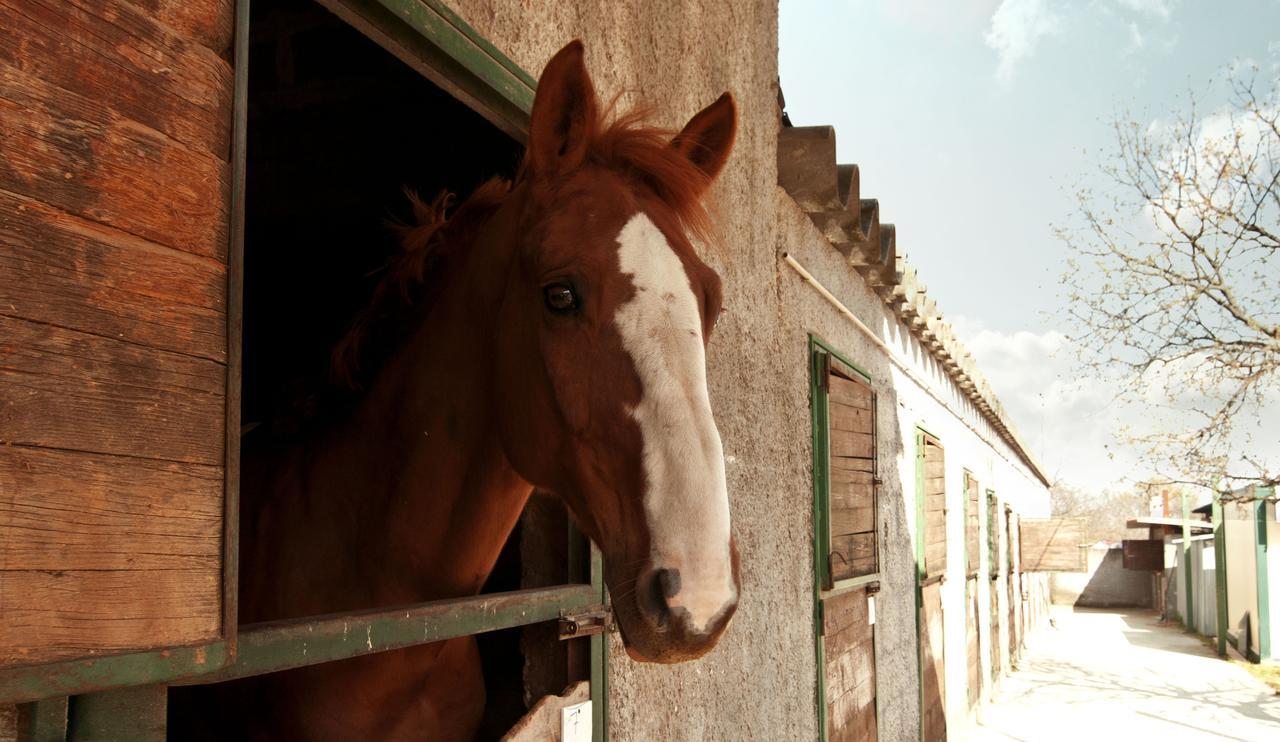 Agriturismo Fasano Cassano delle Murge Bagian luar foto