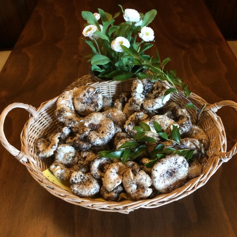 Agriturismo Fasano Cassano delle Murge Bagian luar foto